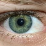 eye